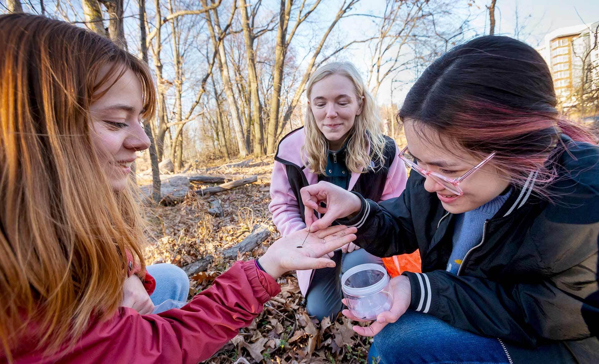 Students examine a bug in a girl's hand in the woods