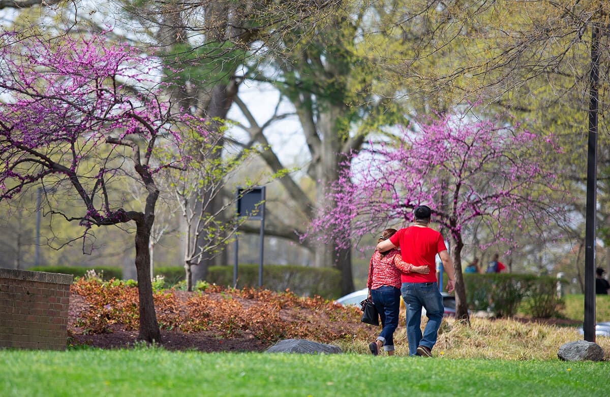 Couple walks near blossoming trees
