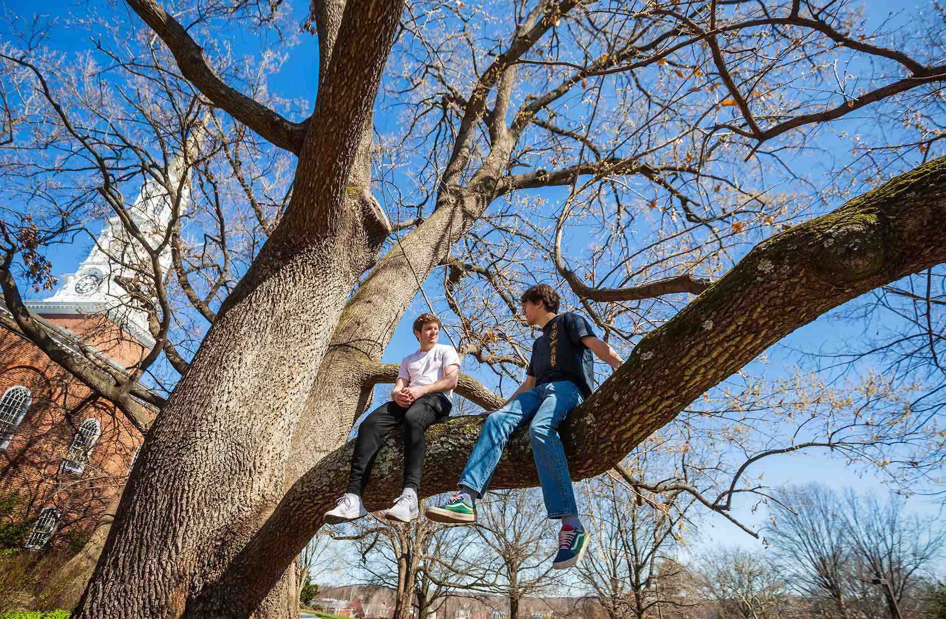 two students sit on branch of tree