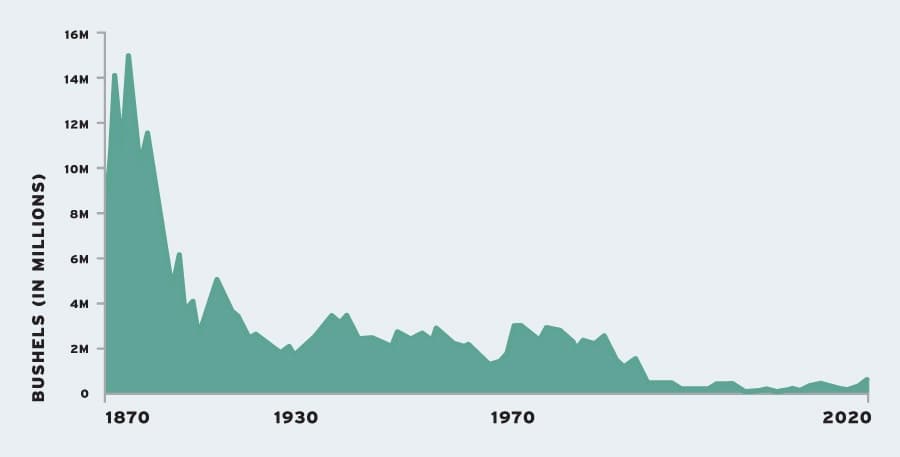 chart showing decline in bushels of oysters harvested