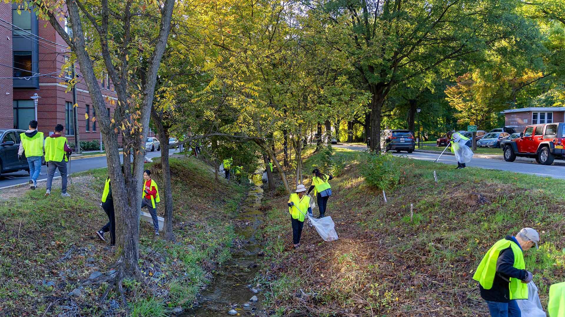 a group of people pick up trash along a stream that runs between two streets