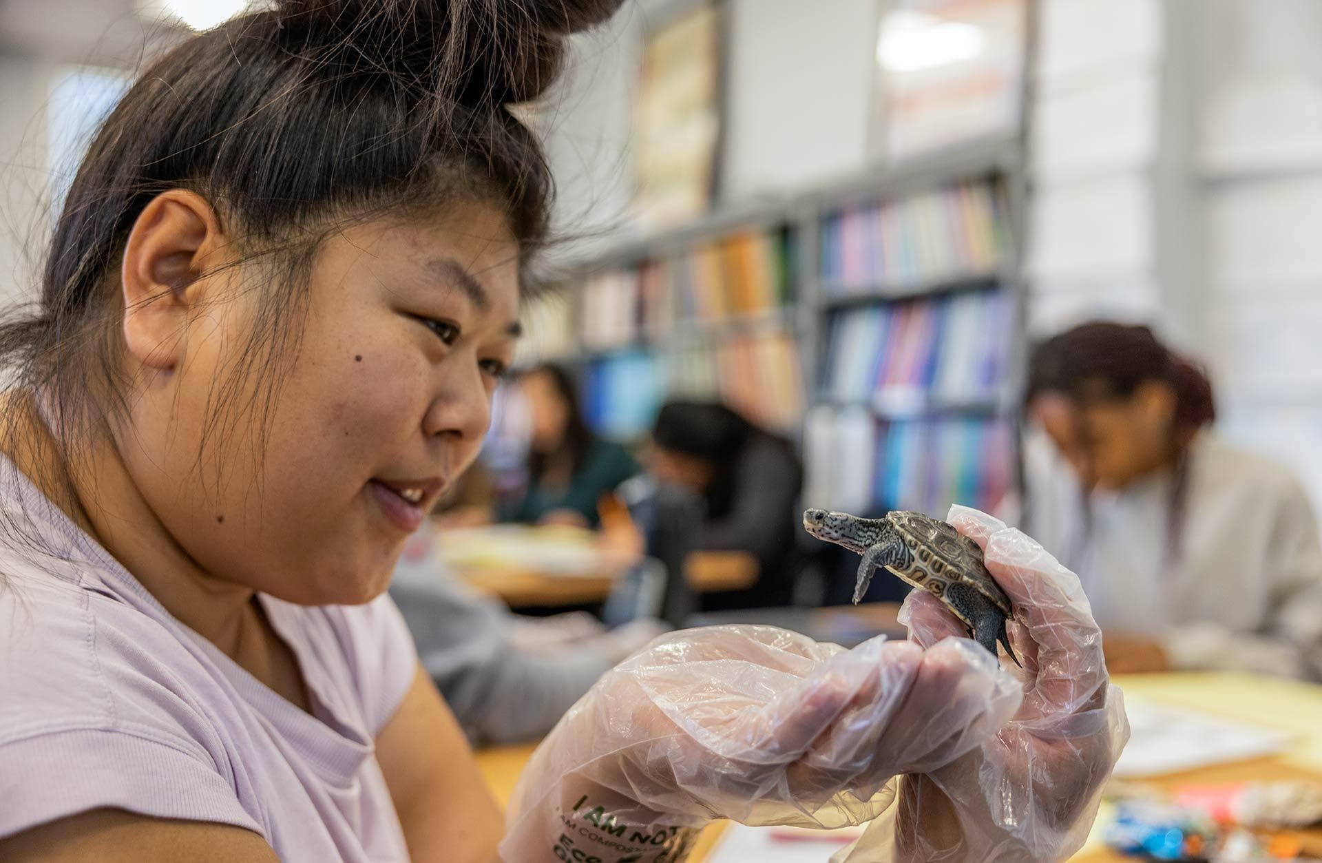 student holds baby terrapin