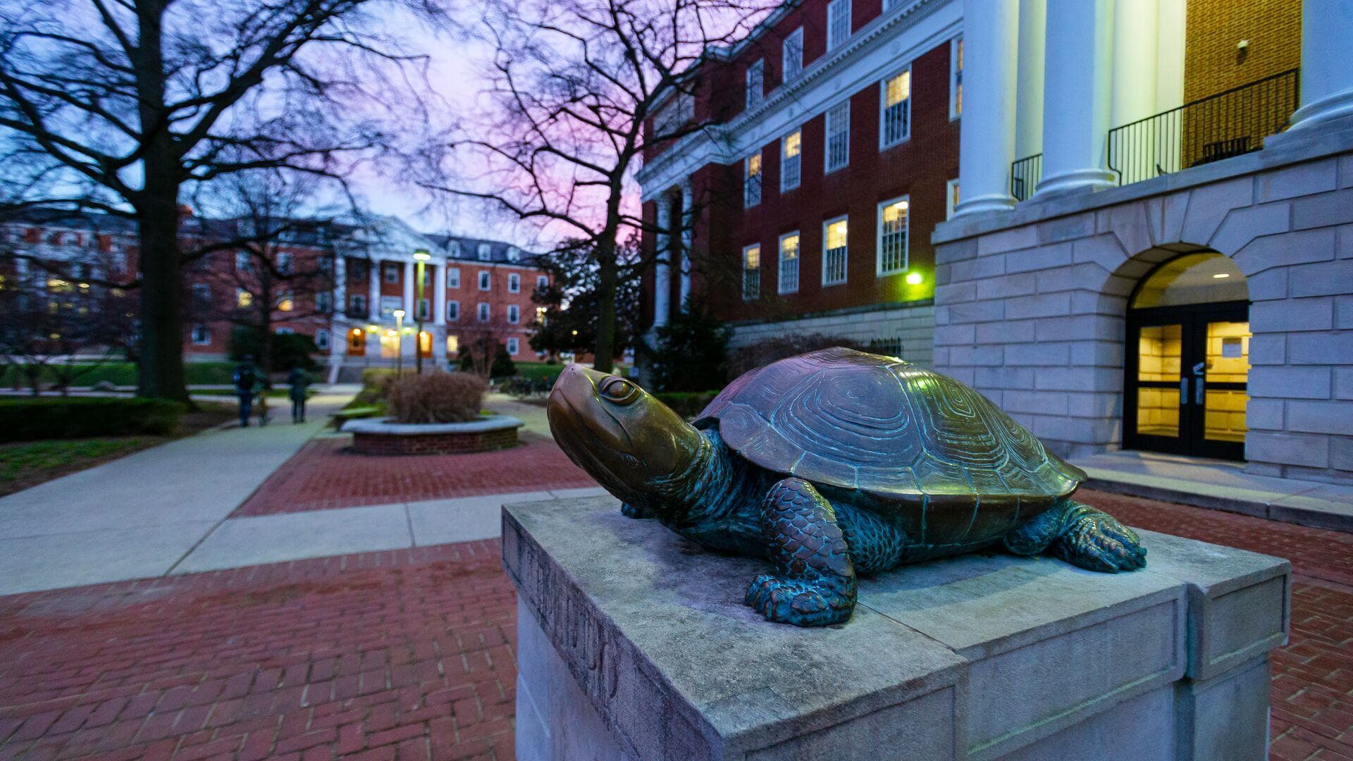 Testudo statue in front of McKeldin Library on a January evening