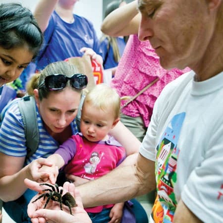 woman and young child look as man holds tarantula