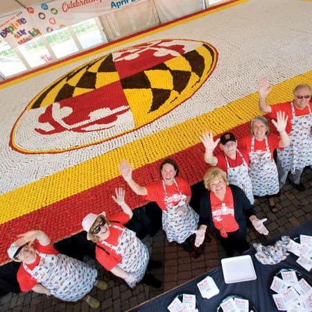red, yellow, black and white cupcakes forming UMD seal, with volunteers waving and wearing aprons
