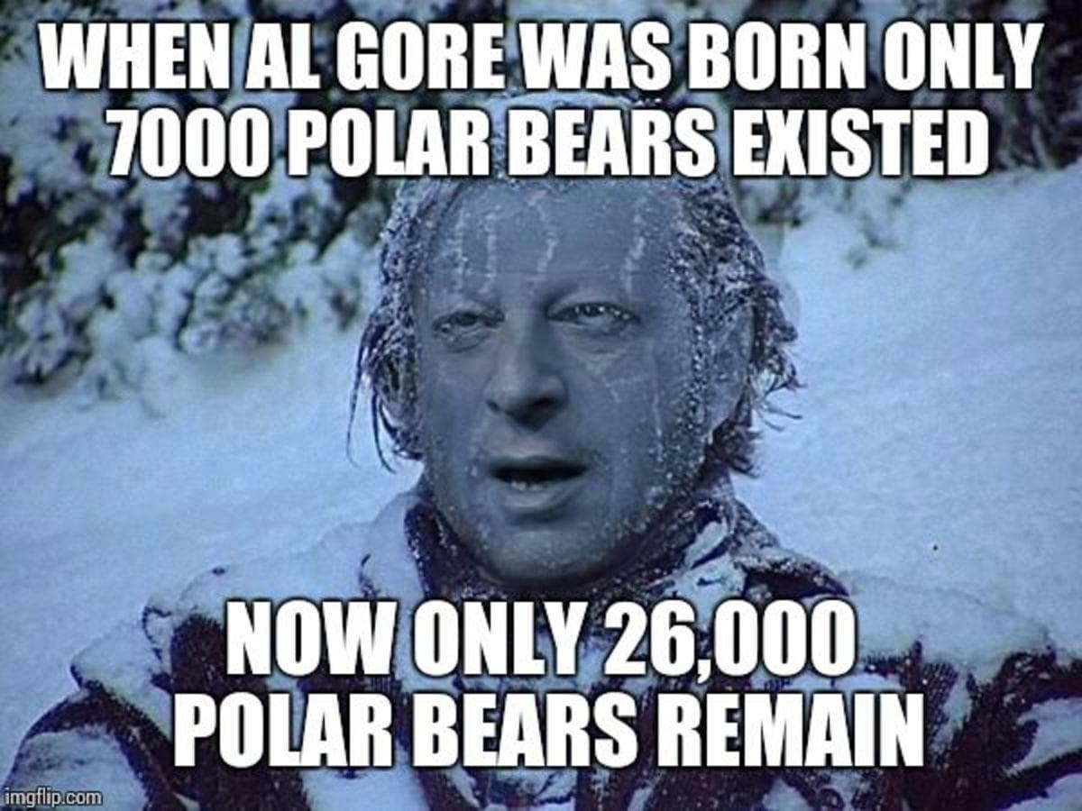 meme with Al Gore's face over frozen Jack Nicholson from "The Shining" that reads, "When Al Gore was born only 7000 polar bears existed. Now only 26,000 remain"
