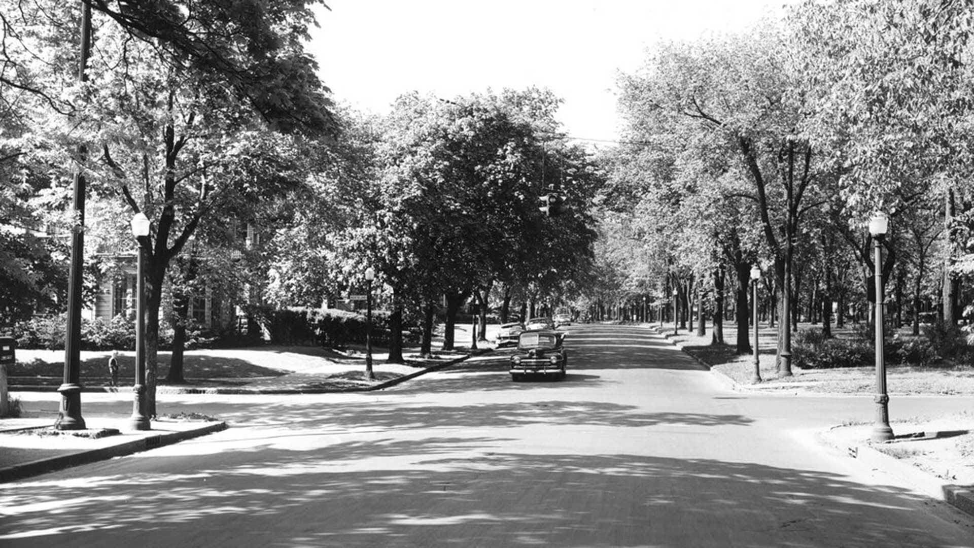 archival photo of Humboldt Parkway