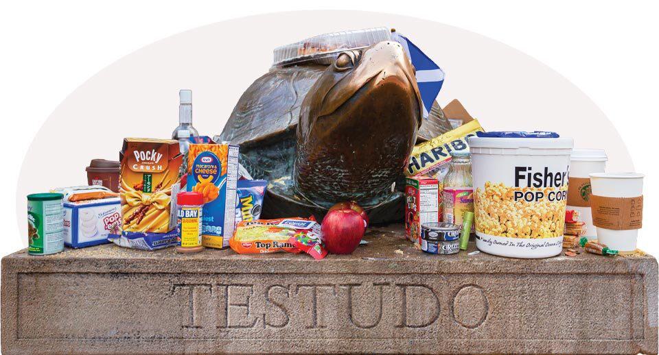 Testudo statue with food offerings
