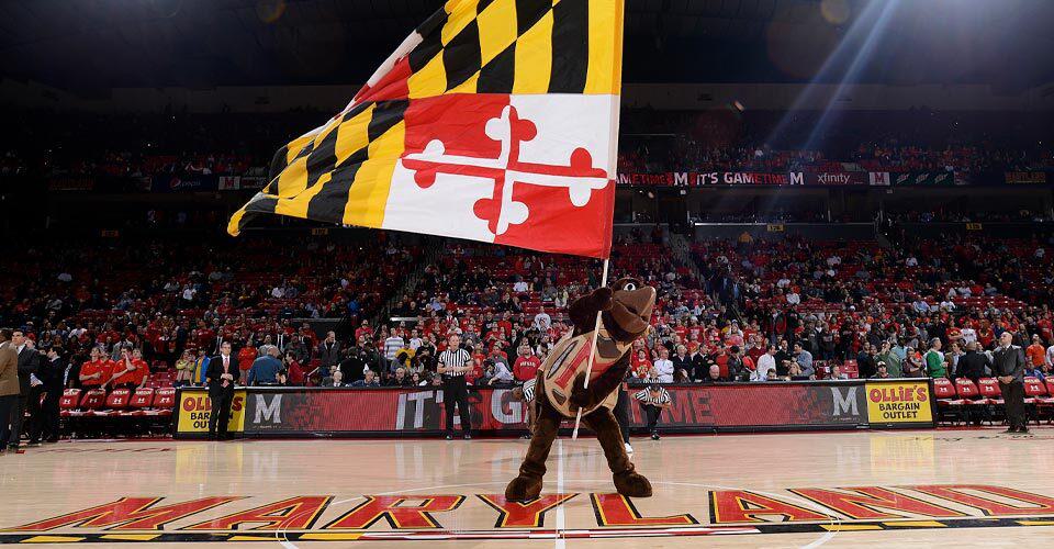 Testudo waves Maryland flag on basketball court